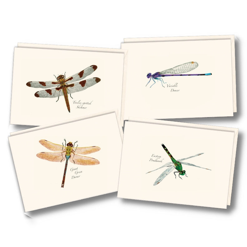 Dragonfly & Damselfly Notecard Assortment