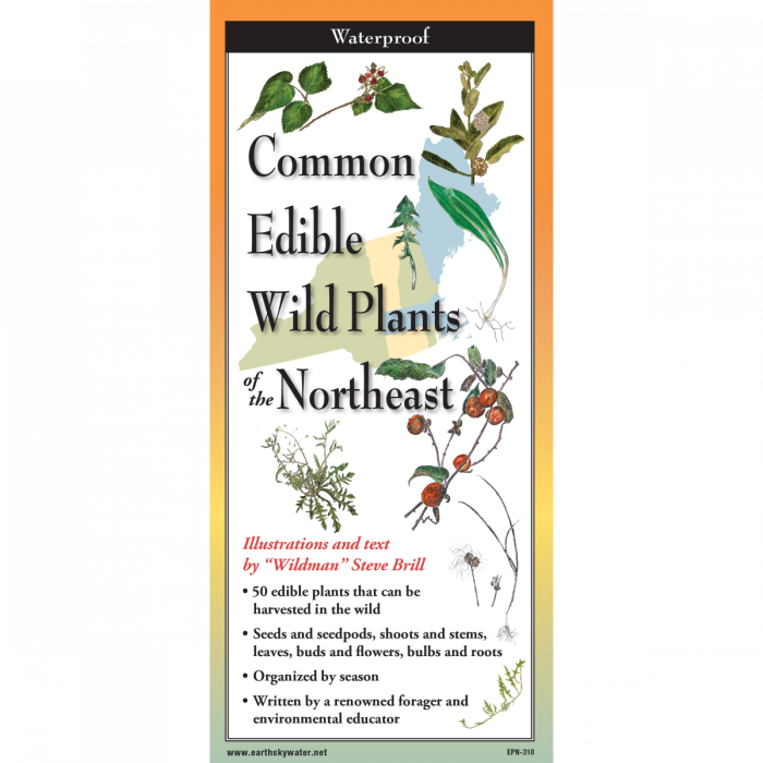 Edible Plants of the Northeast, Folding Guide