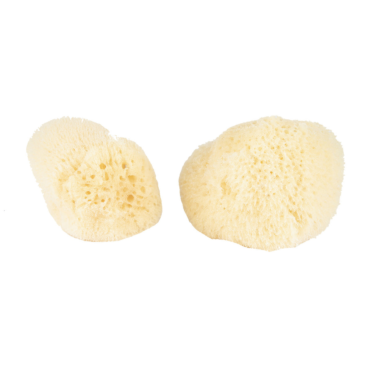 Facial Silk Sponge Gift Box 2.5-3″ (Set of 2) - Image 2