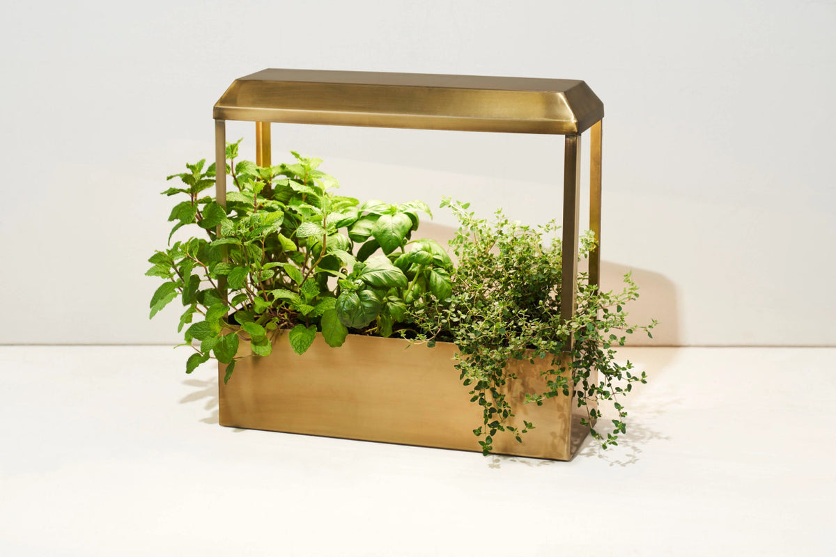 Smart Growhouse – Brass - Image 2