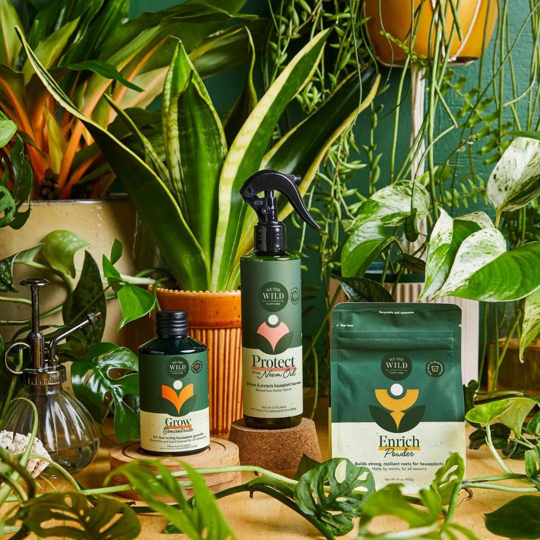 Houseplant Care Essentials Kit - Image 5