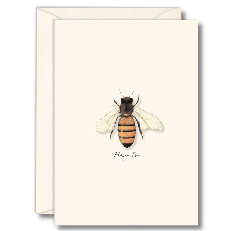 Honey Bee Notecards