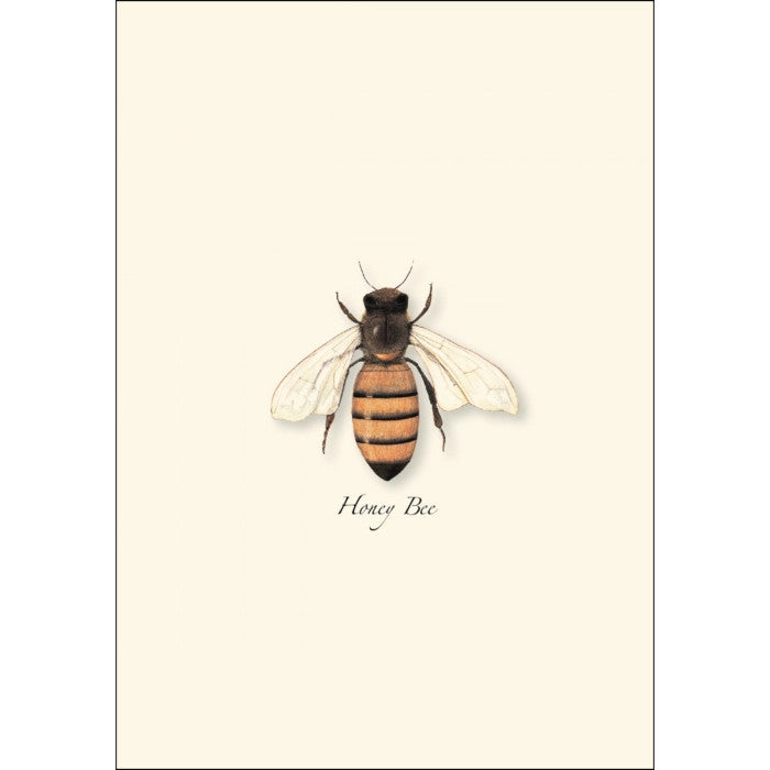 Honey Bee Notecards - Image 3