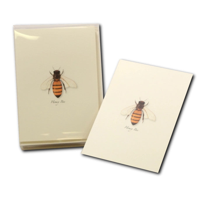 Honey Bee Notecards - Image 4