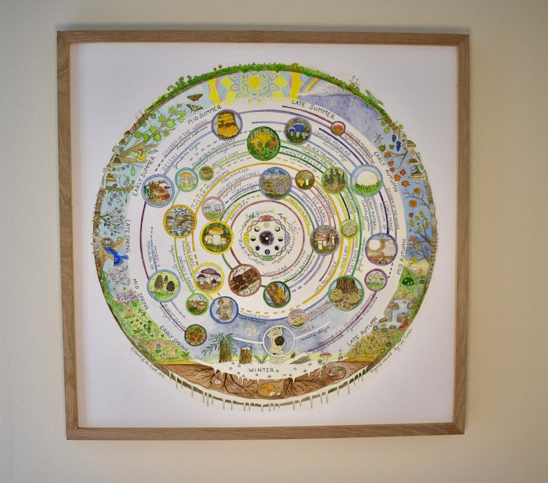 Giclée Art Print – Mushroom Foraging Calendar - Image 7
