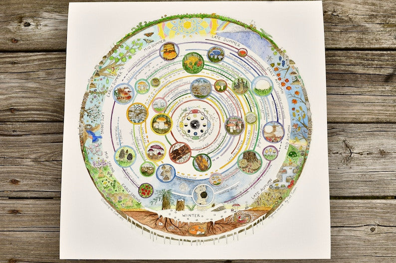 Giclée Art Print – Mushroom Foraging Calendar - Image 2