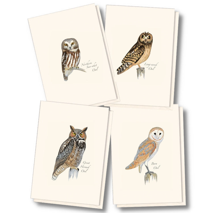 Sibley Owl Notecard Assortment
