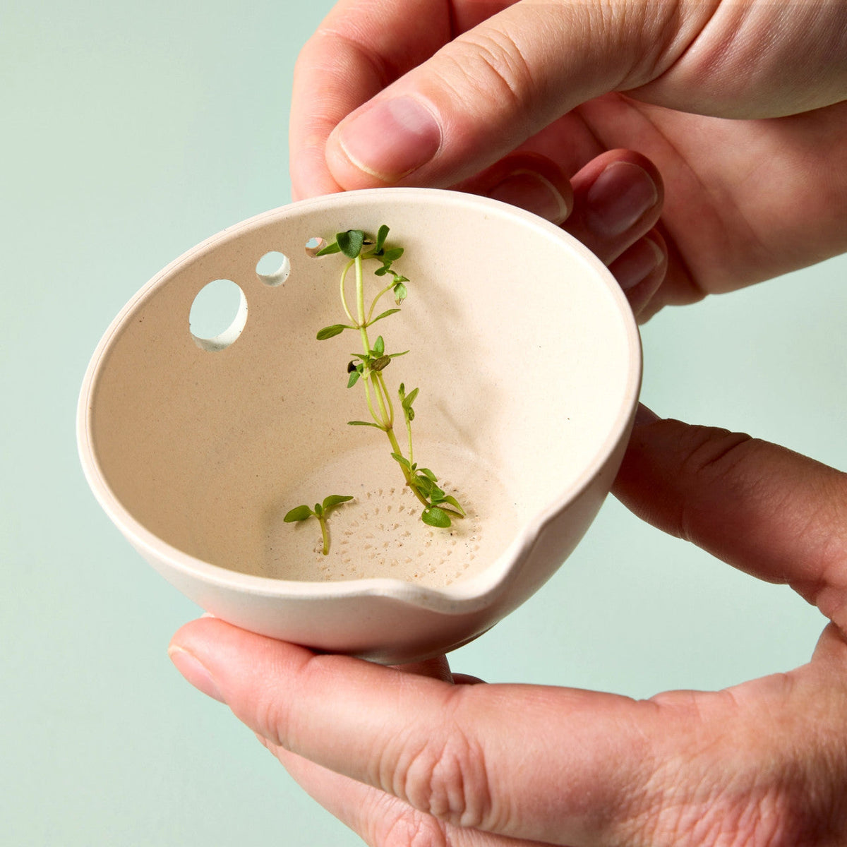 Peel, Grate & Prep Herb Dish - Image 2