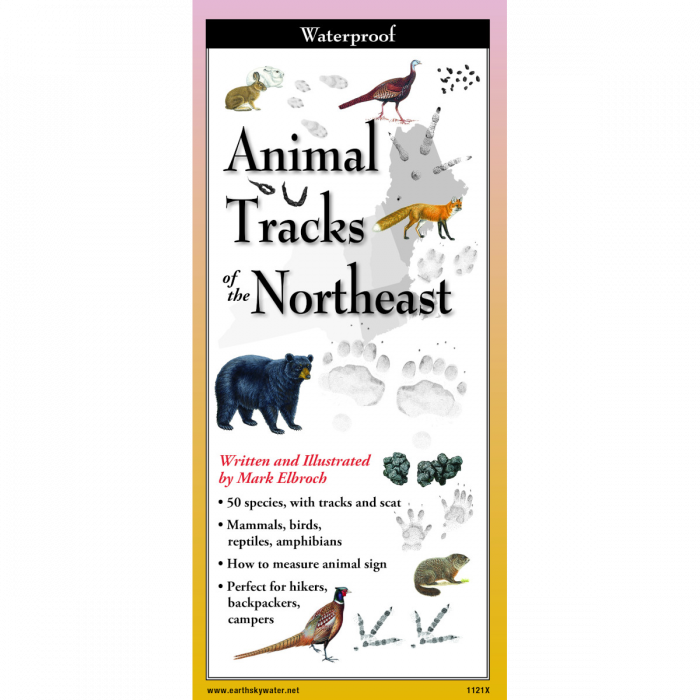 Animal Tracks of the Northeast, Folding Guide