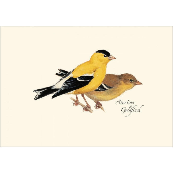 Peterson’s Bird Notecard Assortment - Image 2